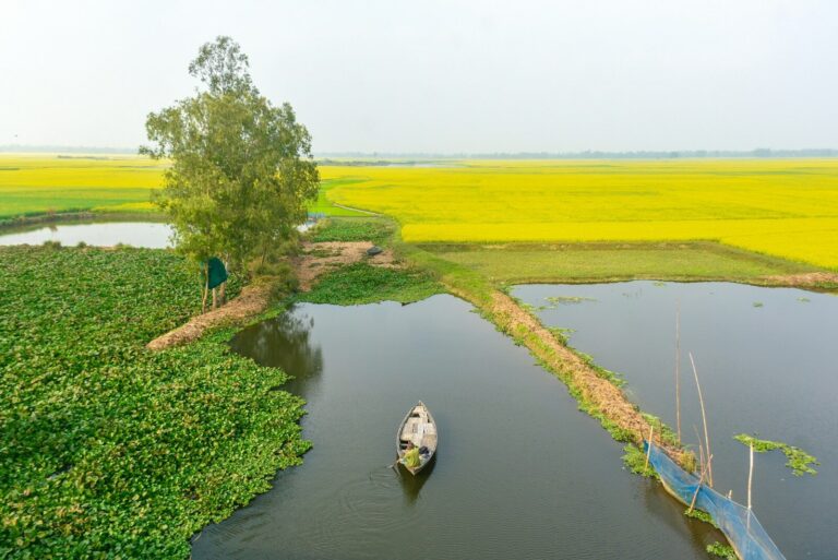 A small boat floating on top of a river next to a lush green field